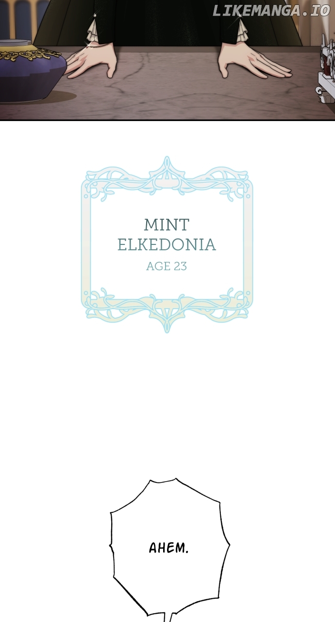 Little Princess Mint Chapter 94 - page 13