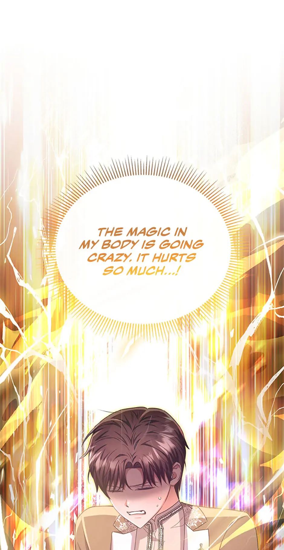 The Marquess's Favorite Chapter 83 - page 67