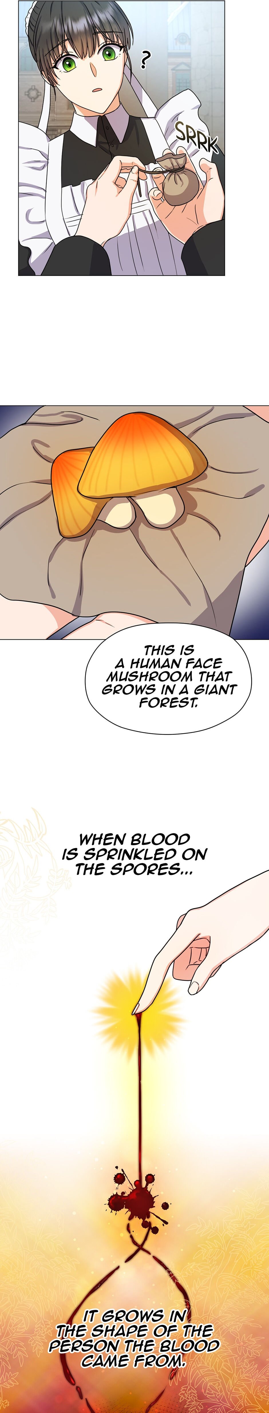From Maid to Queen chapter 5 - page 23