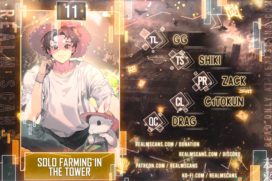 Solo Farming In The Tower Chapter 11 - page 1