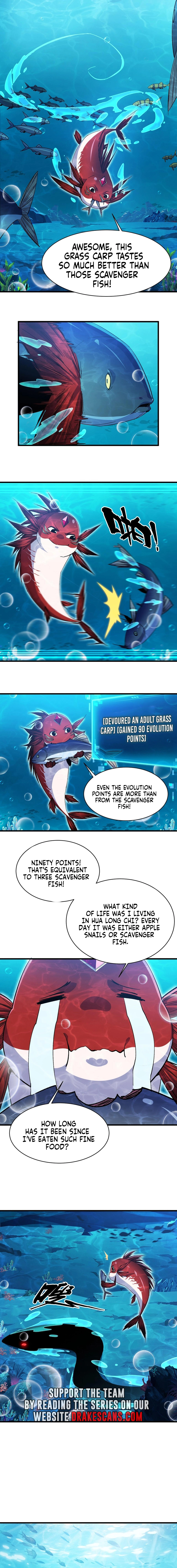 Evolution from Carp to Divine Dragon Chapter 8 - page 6