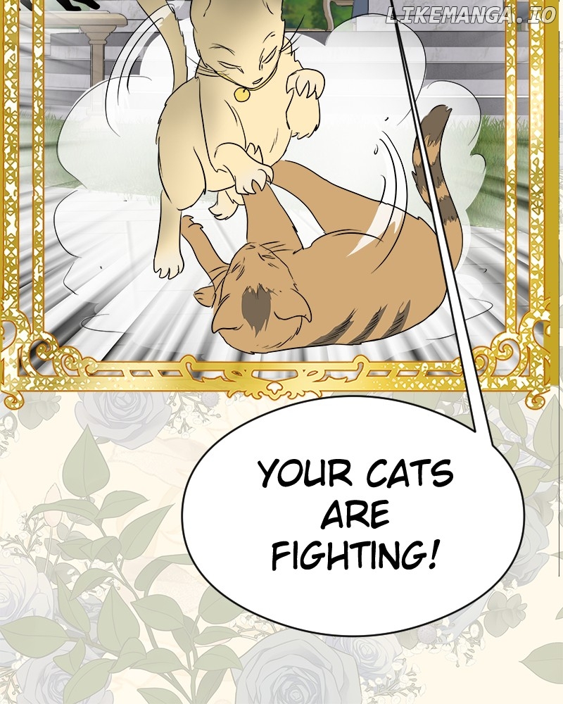 Cinderella Boy Chapter 19 - page 100