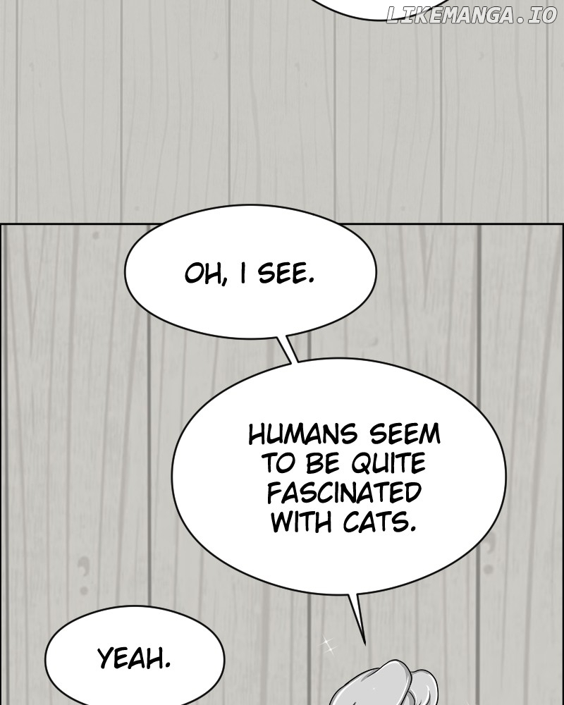 Cinderella Boy Chapter 18 - page 22