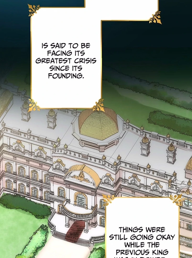 Your Majesty the King, I Will Educate You Chapter 1 - page 47