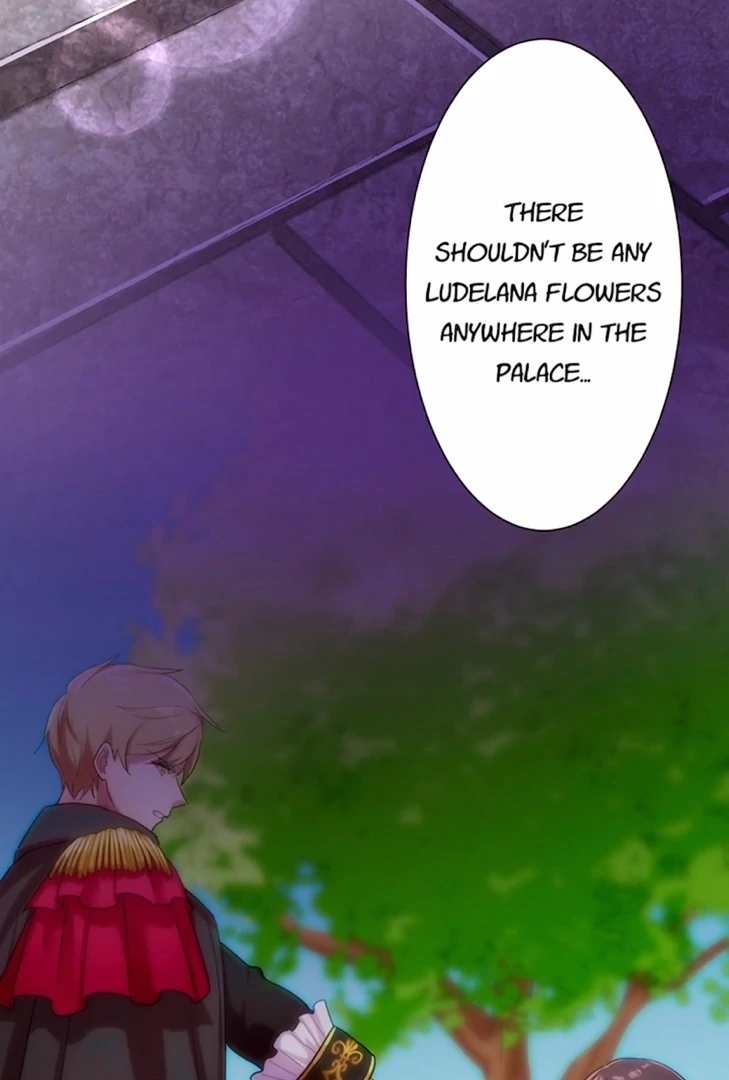 Your Majesty the King, I Will Educate You Chapter 8 - page 30