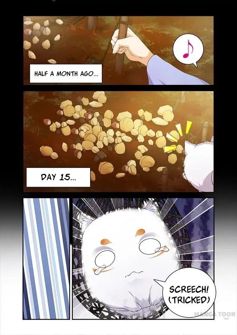 Ferocious Princess Chapter 19 - page 8