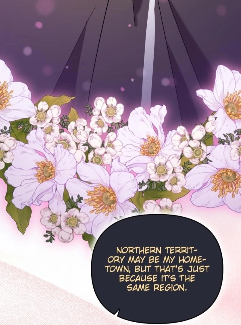 I'm a Solo Guide Chapter 31 - page 14