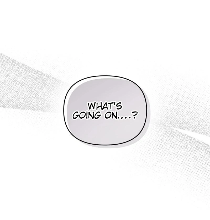 I'm a Solo Guide Chapter 26 - page 117