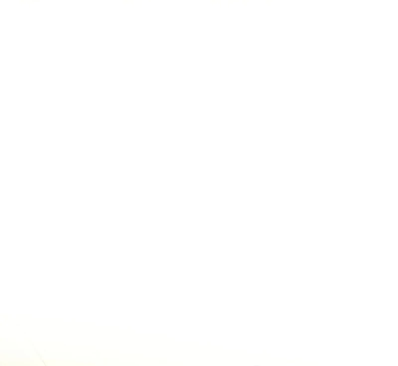 I'm a Solo Guide Chapter 18 - page 30