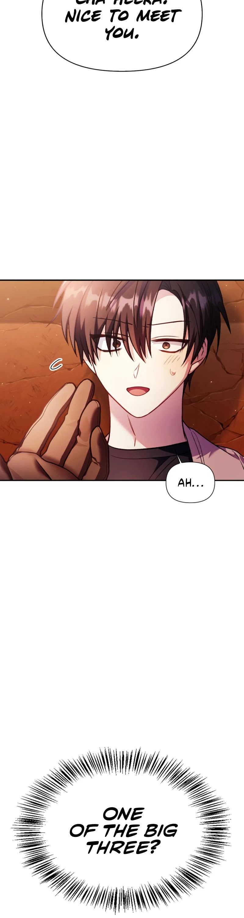 Regressor Instruction Manual chapter 35 - page 12