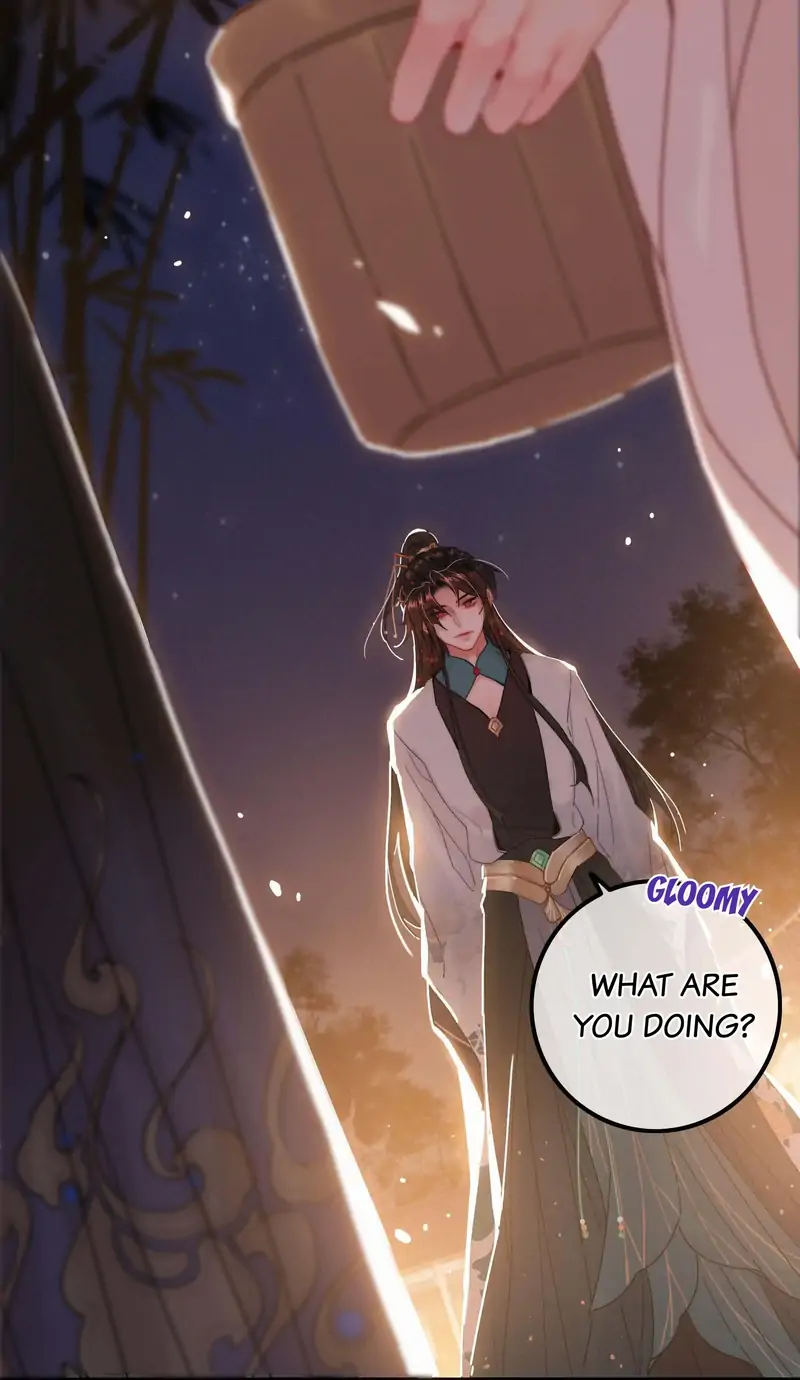 The Provincial Commander’s Self-Cultivation Chapter 66 - page 24