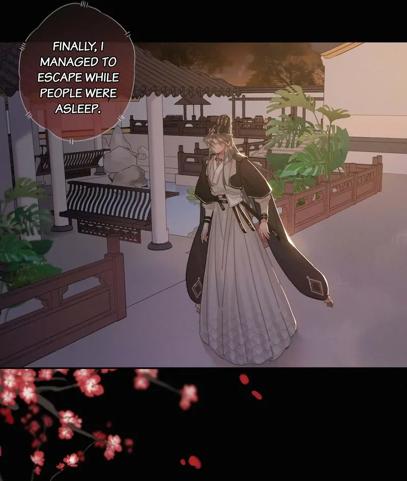 The Provincial Commander’s Self-Cultivation Chapter 65 - page 14
