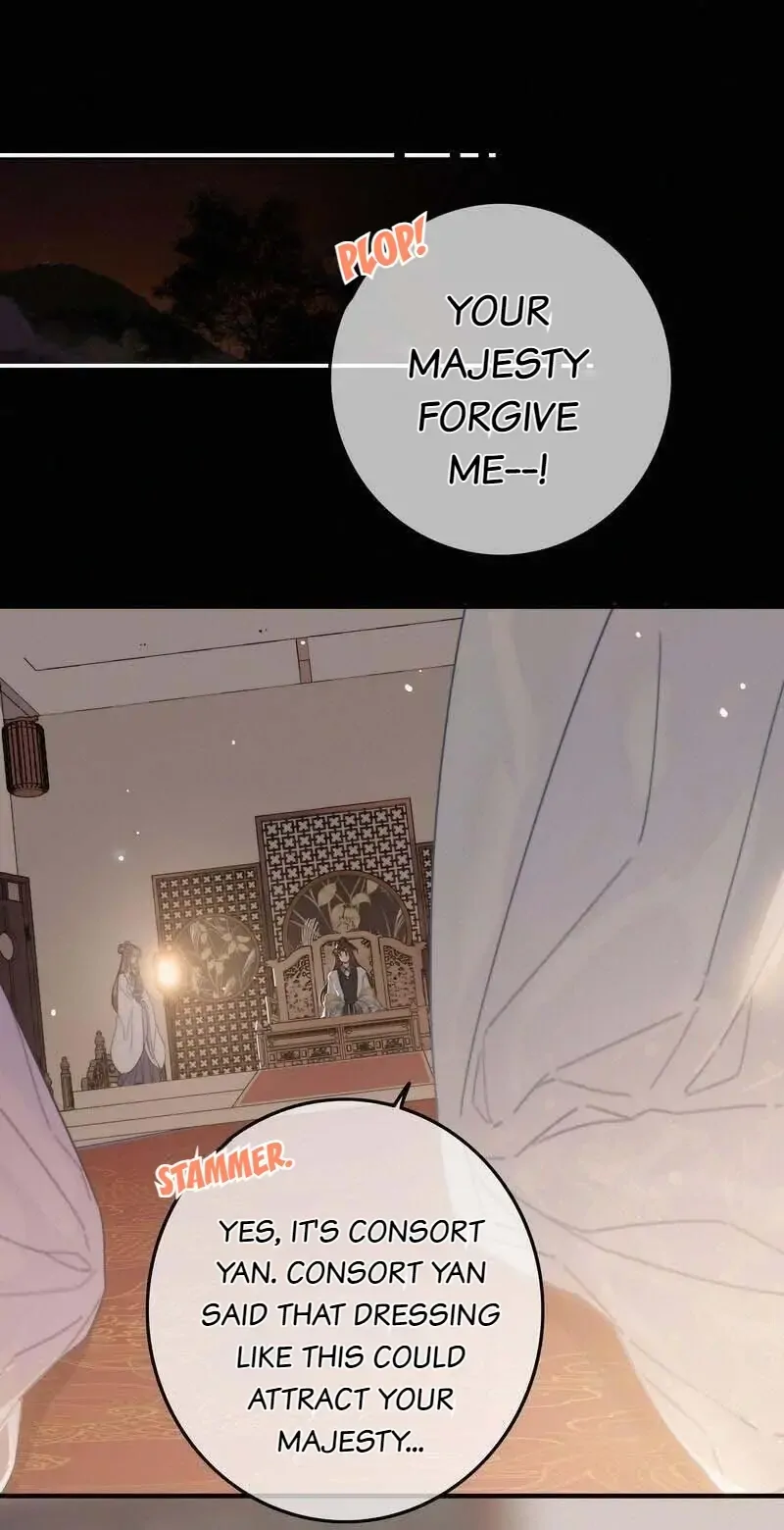The Provincial Commander’s Self-Cultivation Chapter 61 - page 20
