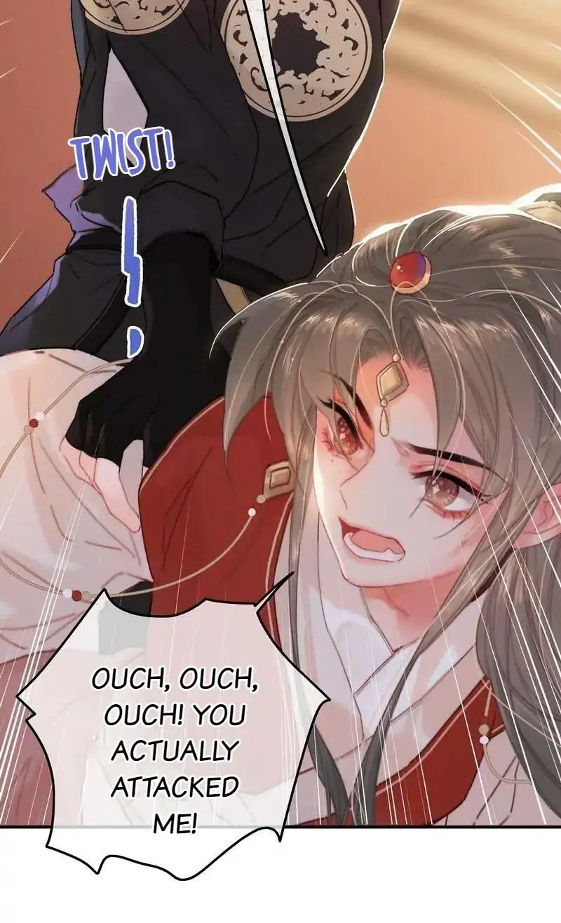 The Provincial Commander’s Self-Cultivation Chapter 60 - page 14