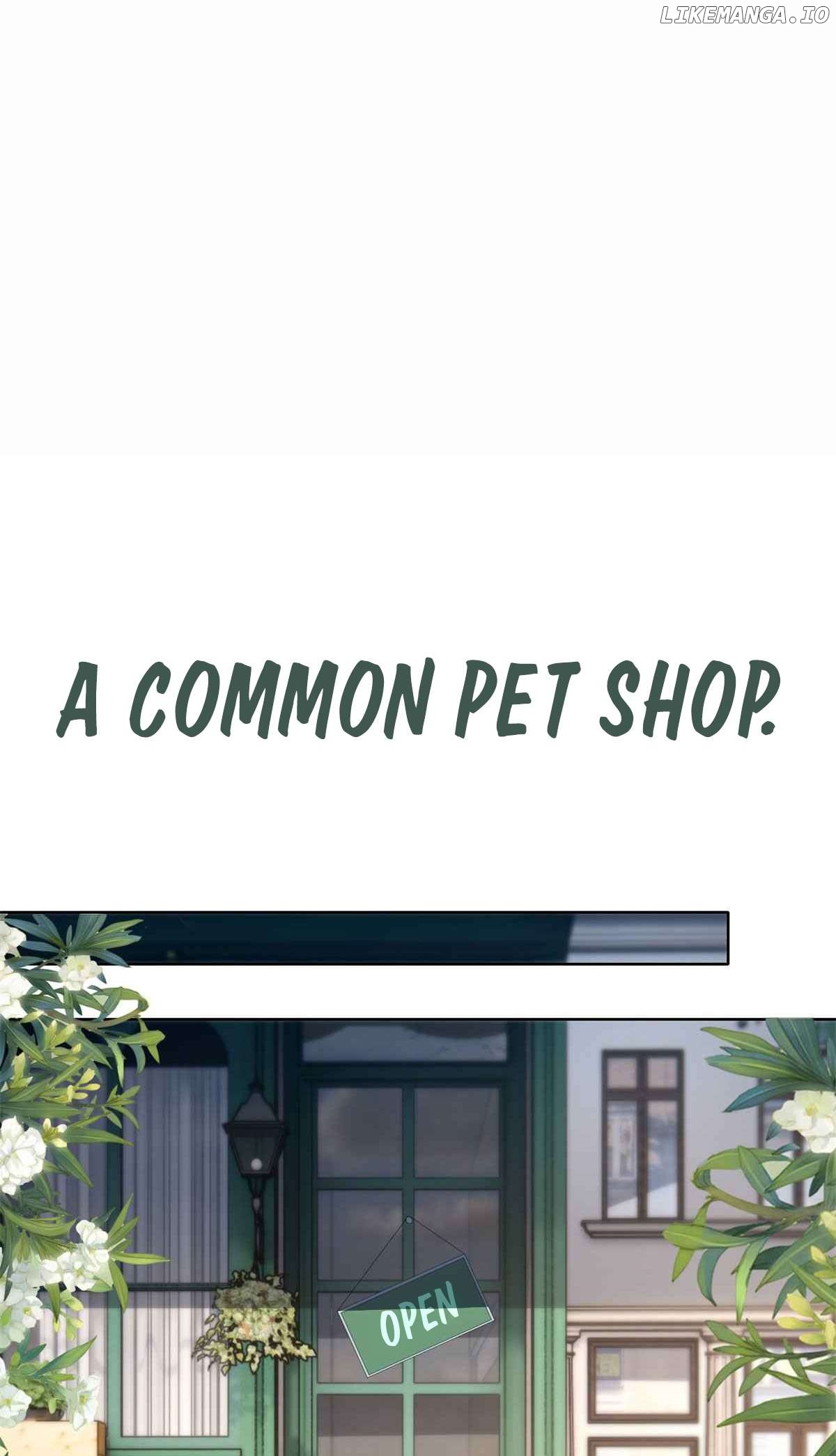 Wonder Pet Shop Chapter 0.1 - page 3