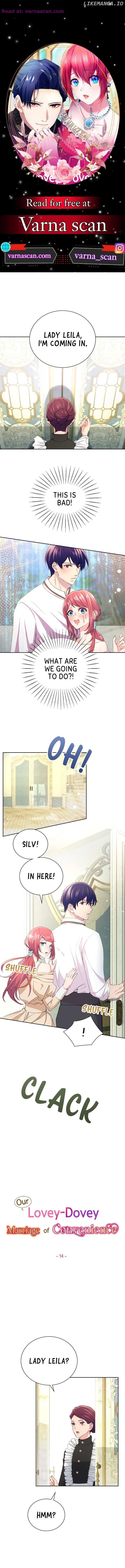 Our Lovey-Dovey Marriage of Convenience Chapter 14 - page 1