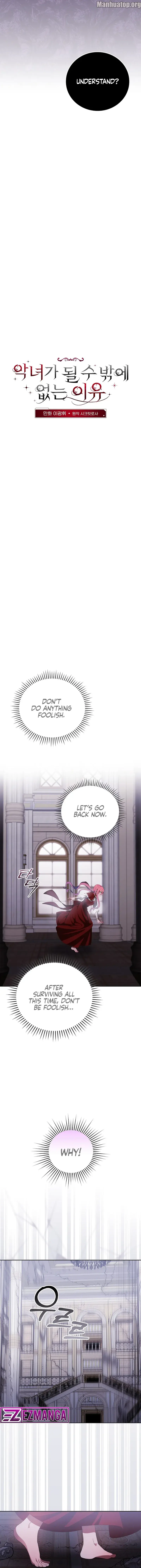 The Reason I Have to Be a Villain Chapter 37 - page 5