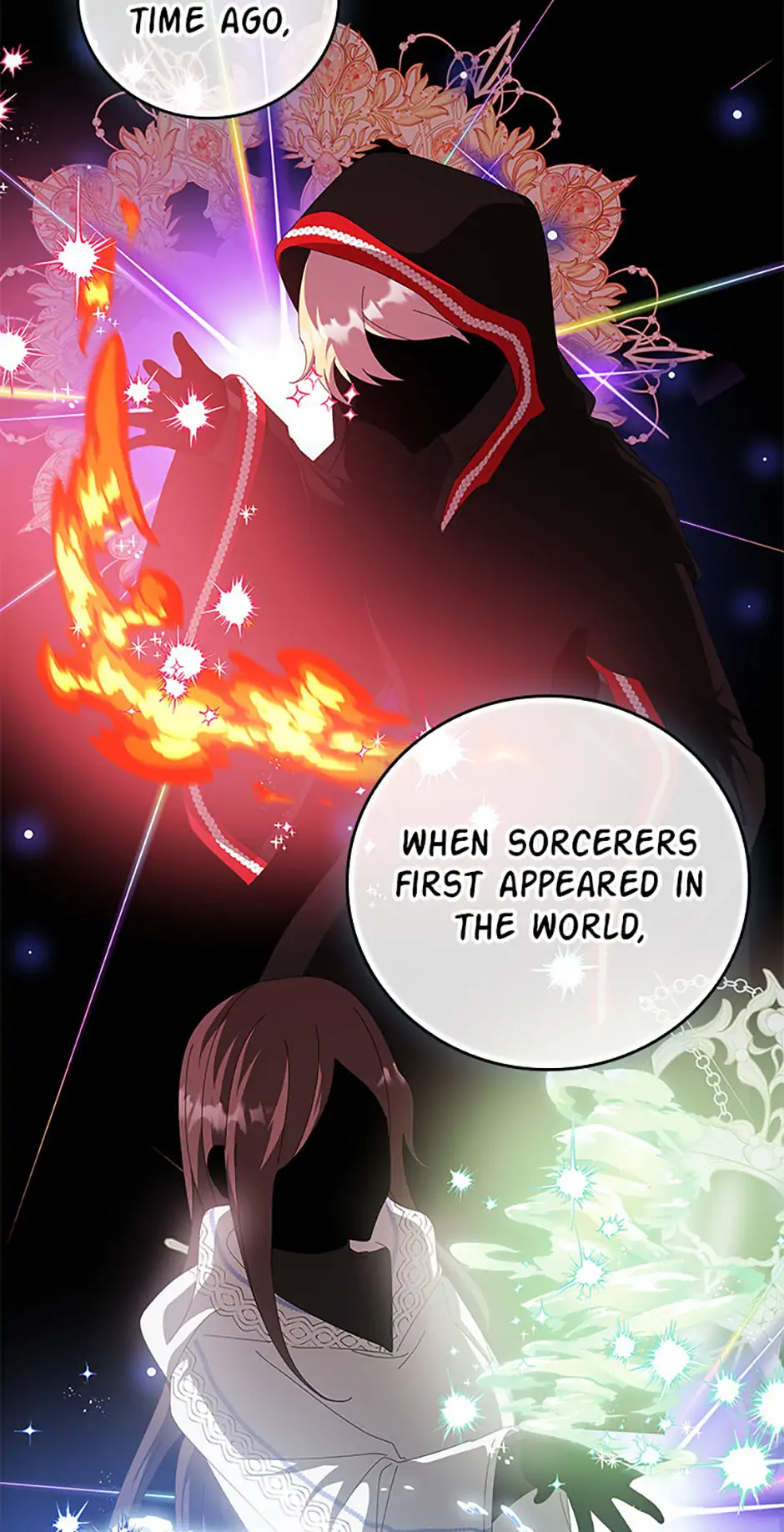 The Reason I Have to Be a Villain Chapter 46.5 - page 28