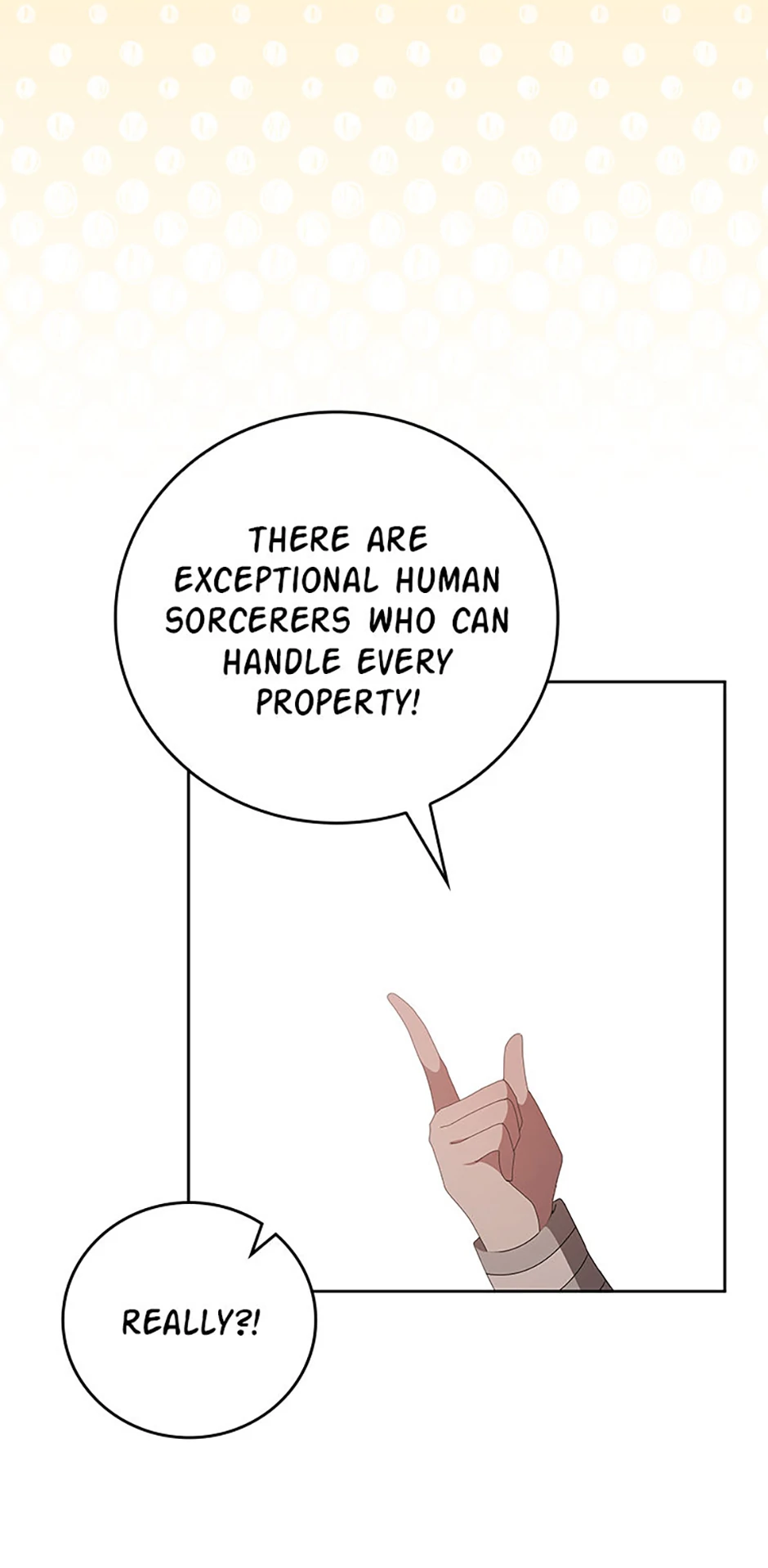The Reason I Have to Be a Villain Chapter 46.5 - page 72