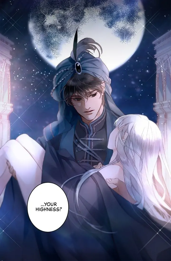 The Sultan’s Love Chapter 0.1 - page 17