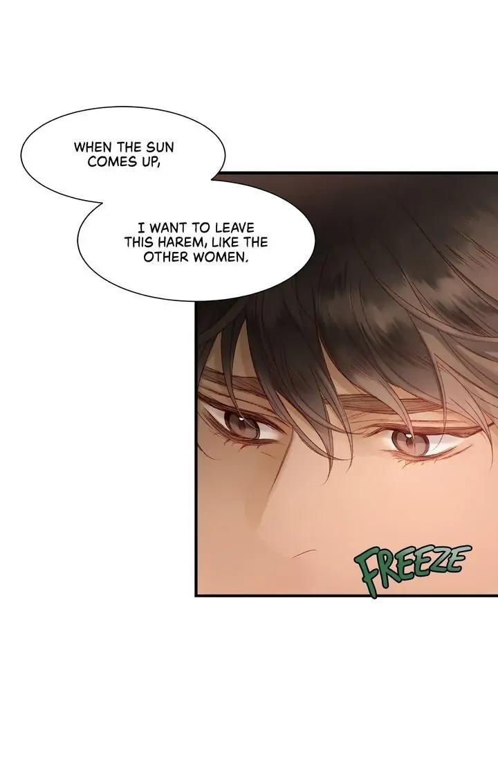 The Sultan’s Love Chapter 0.1 - page 19
