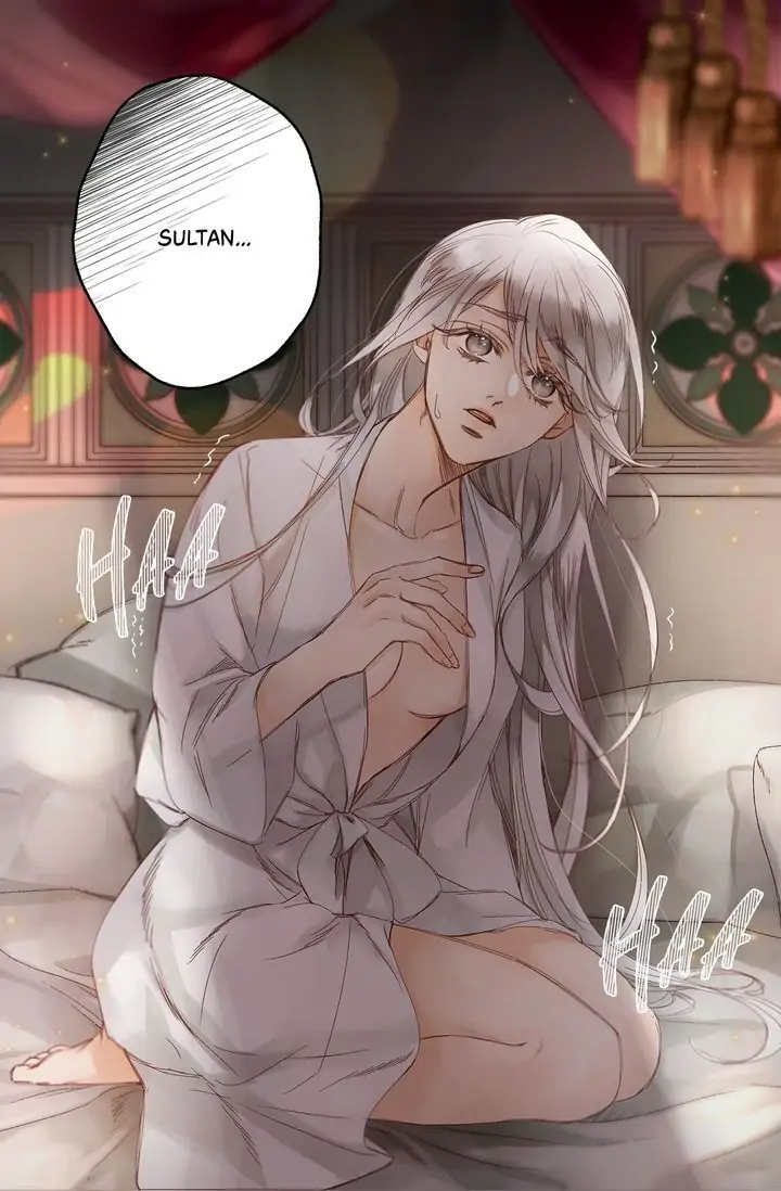 The Sultan’s Love Chapter 0.1 - page 3