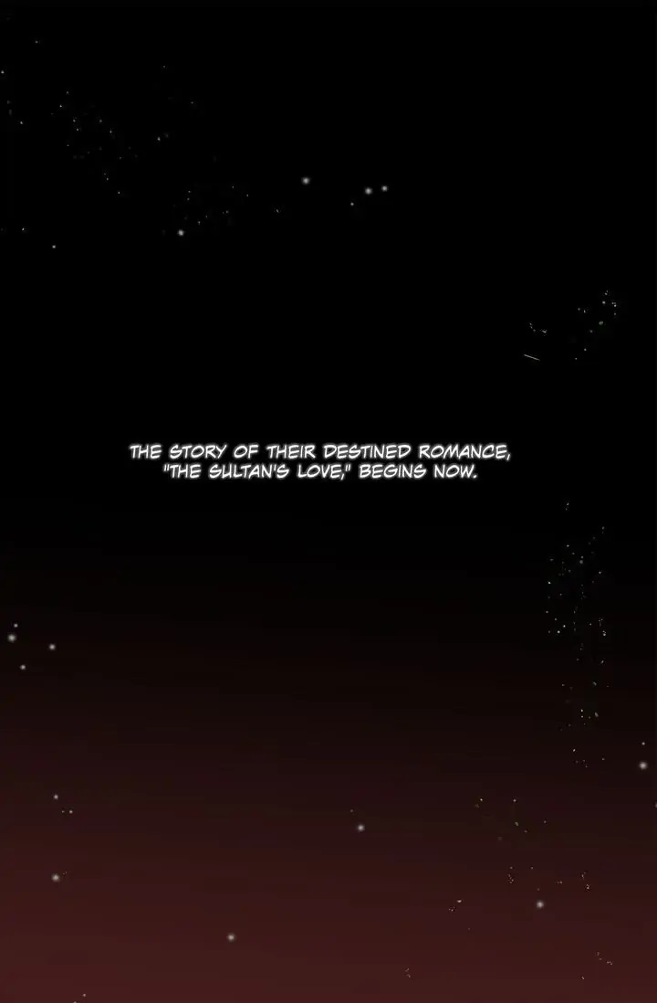 The Sultan’s Love Chapter 0.1 - page 30