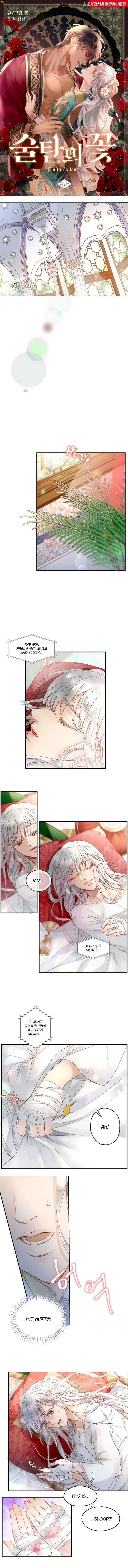 The Sultan’s Love Chapter 2 - page 1