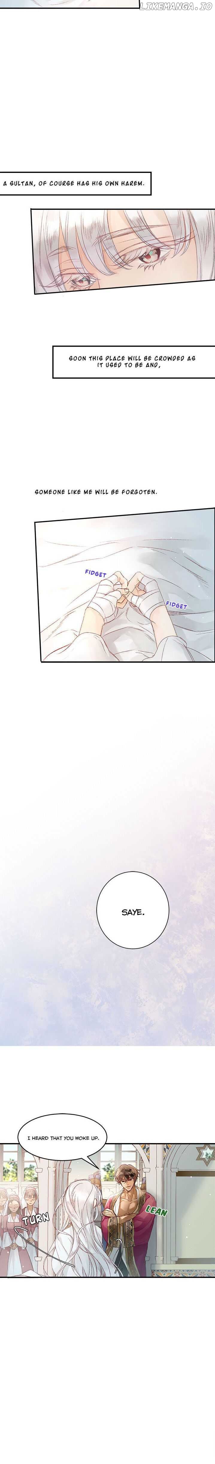 The Sultan’s Love Chapter 6 - page 12