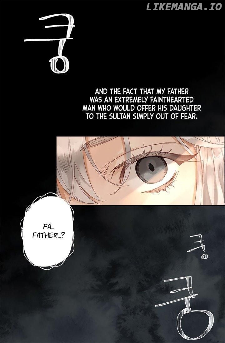The Sultan’s Love Chapter 1 - page 13
