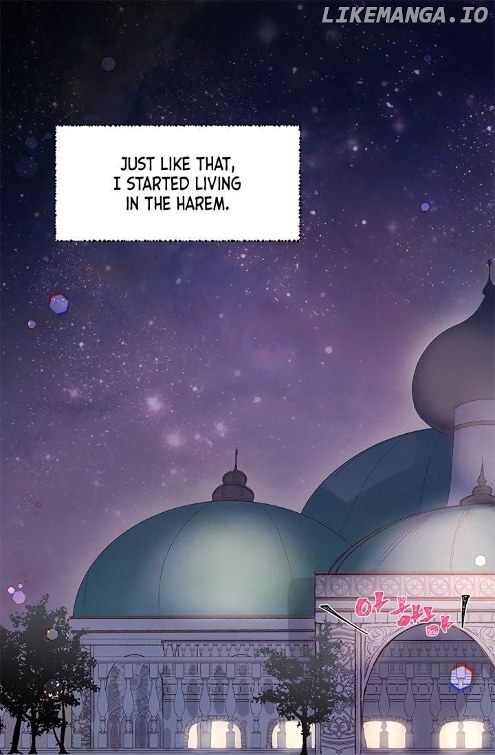 The Sultan’s Love Chapter 1 - page 15