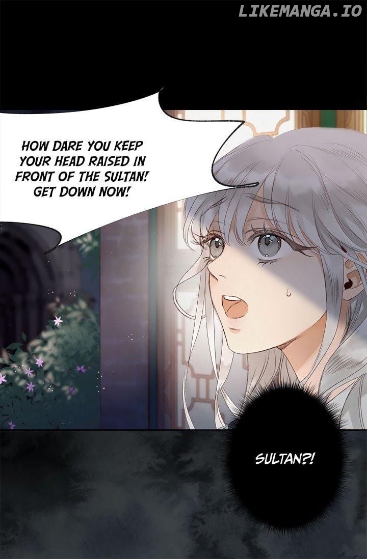The Sultan’s Love Chapter 1 - page 29