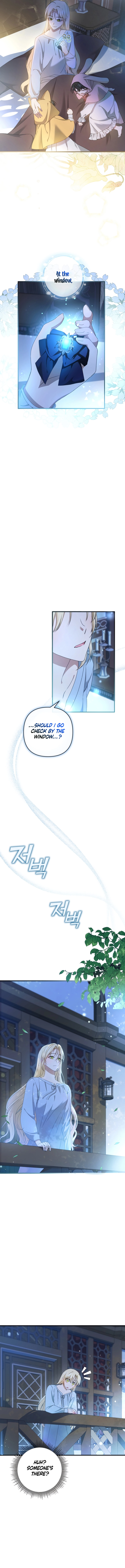 The Extra Guardian Missed the Right Time to Leave Chapter 9 - page 11