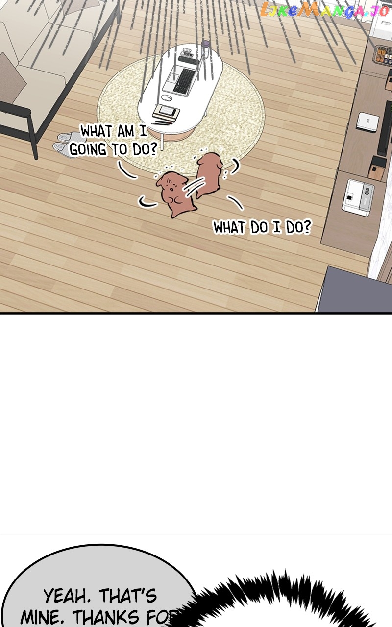 The Team Leader is Tired of Being A Newlywed Chapter 8 - page 19