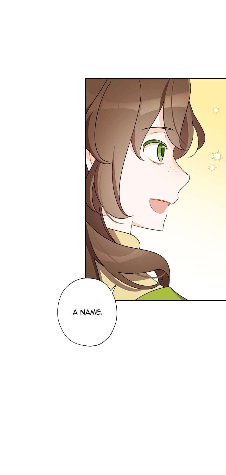 A Wicked Tale of Cinderella's Stepmom chapter 25 - page 73