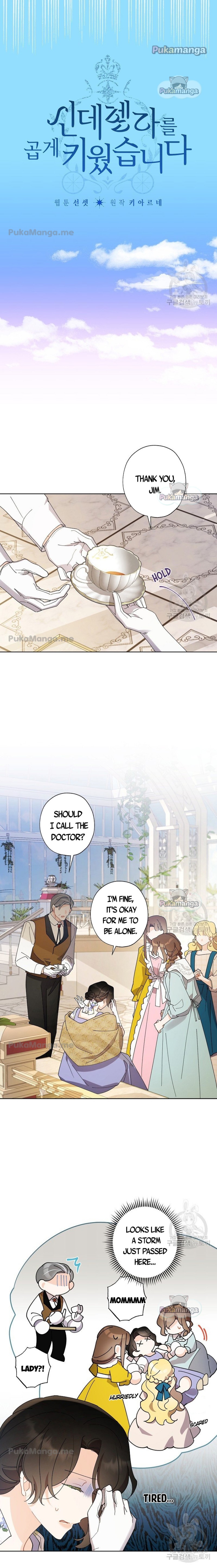 A Wicked Tale of Cinderella's Stepmom chapter 74 - page 2