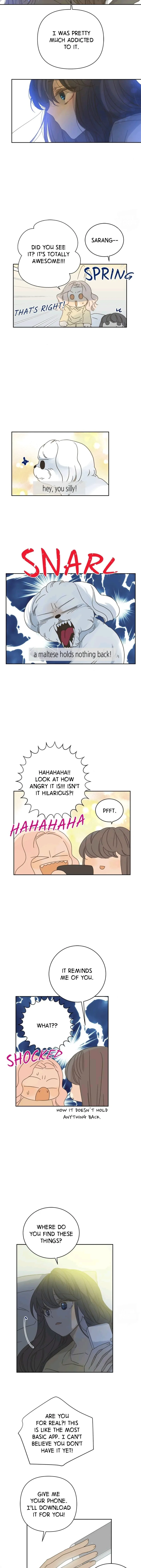 Girl with a Knife Chapter 86 - page 7