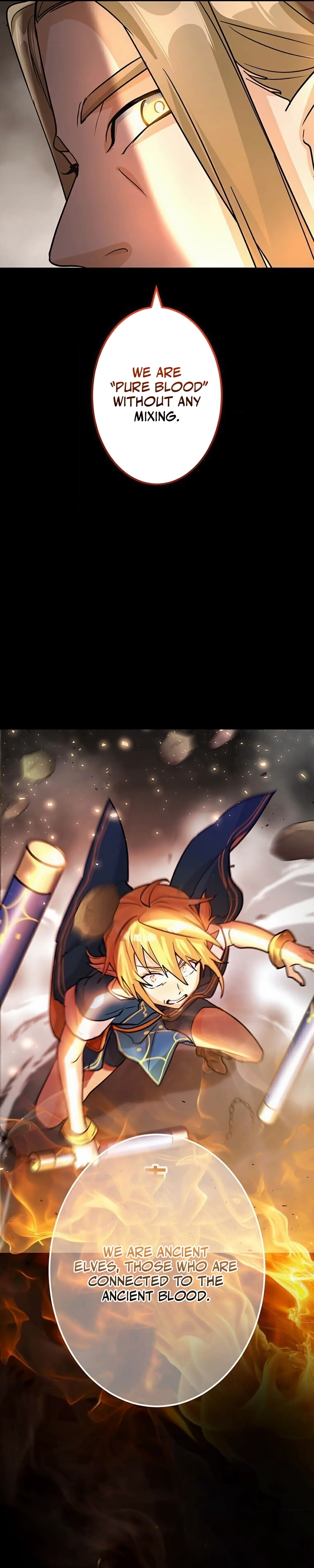 A Boy Raised by the Ultimate Dragon Wants to Be Fostered by Someone Stronger Than His Parent! Chapter 32 - page 14