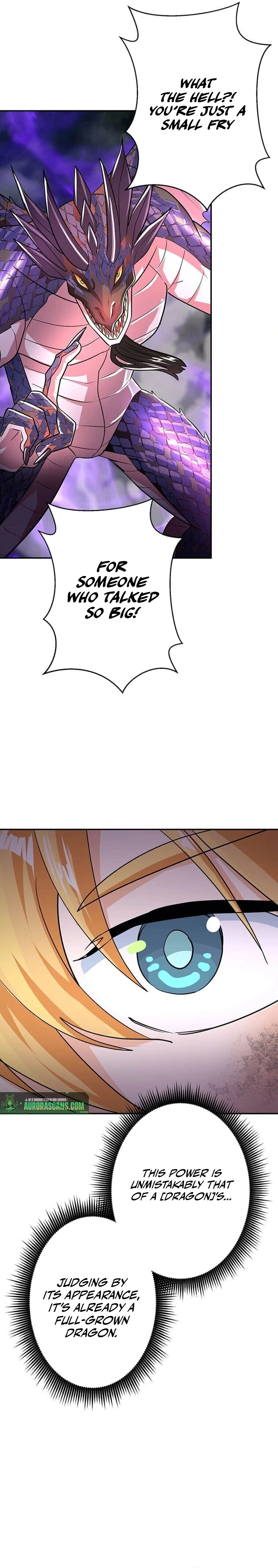 A Boy Raised by the Ultimate Dragon Wants to Be Fostered by Someone Stronger Than His Parent! Chapter 29 - page 18