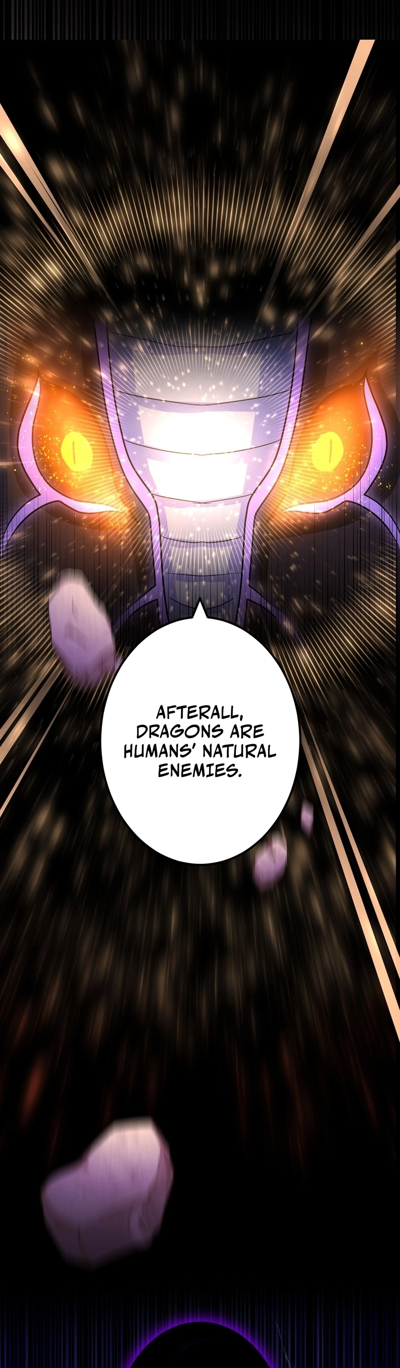 A Boy Raised by the Ultimate Dragon Wants to Be Fostered by Someone Stronger Than His Parent! Chapter 21 - page 10