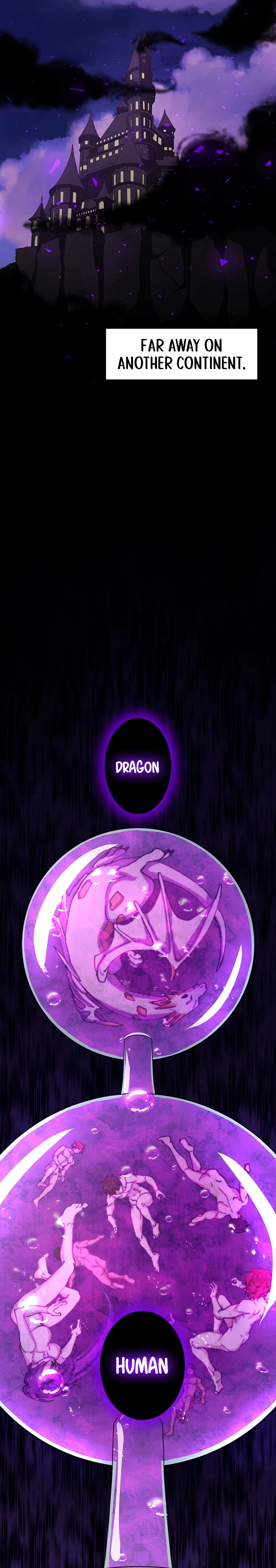 A Boy Raised by the Ultimate Dragon Wants to Be Fostered by Someone Stronger Than His Parent! Chapter 24 - page 21