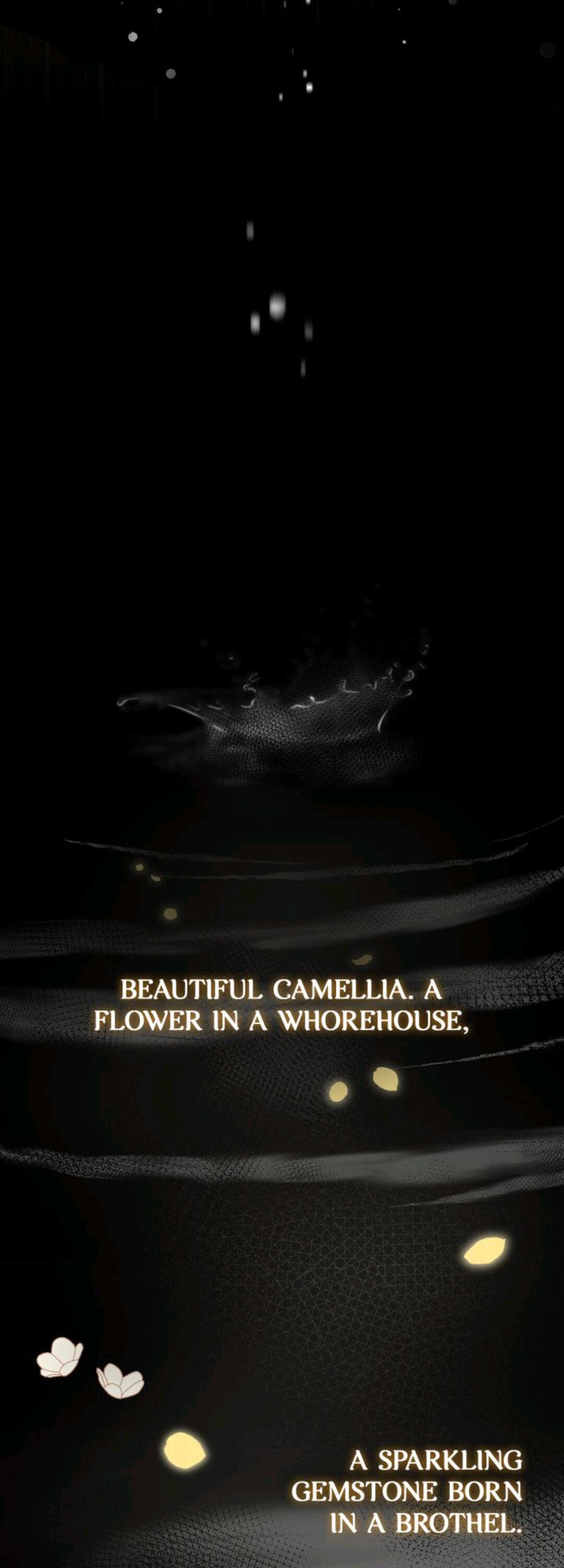 Finding Camellia Chapter 0.1 - page 11