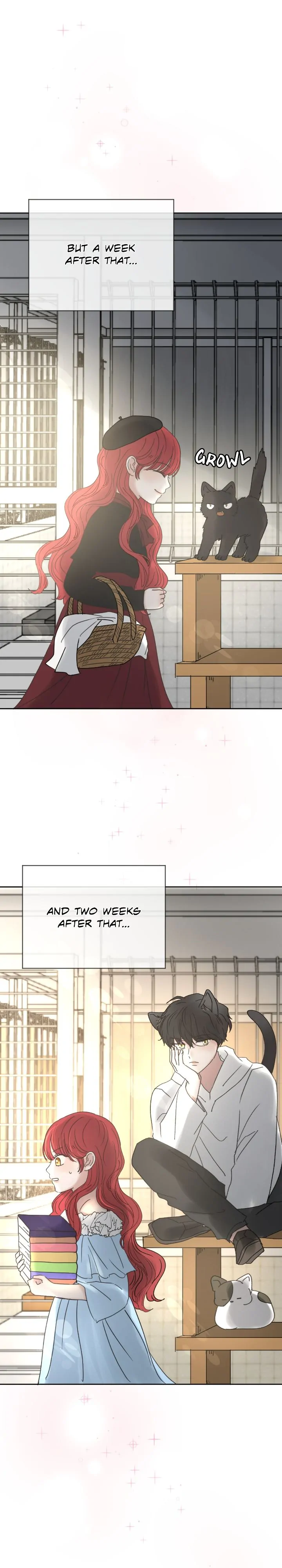 I Adopted a Male Lead From a Prison Shelter Chapter 18 - page 5