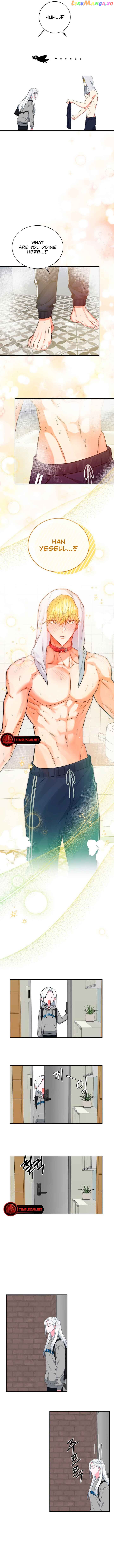 My Classmates Are Vampire Chapter 22 - page 5
