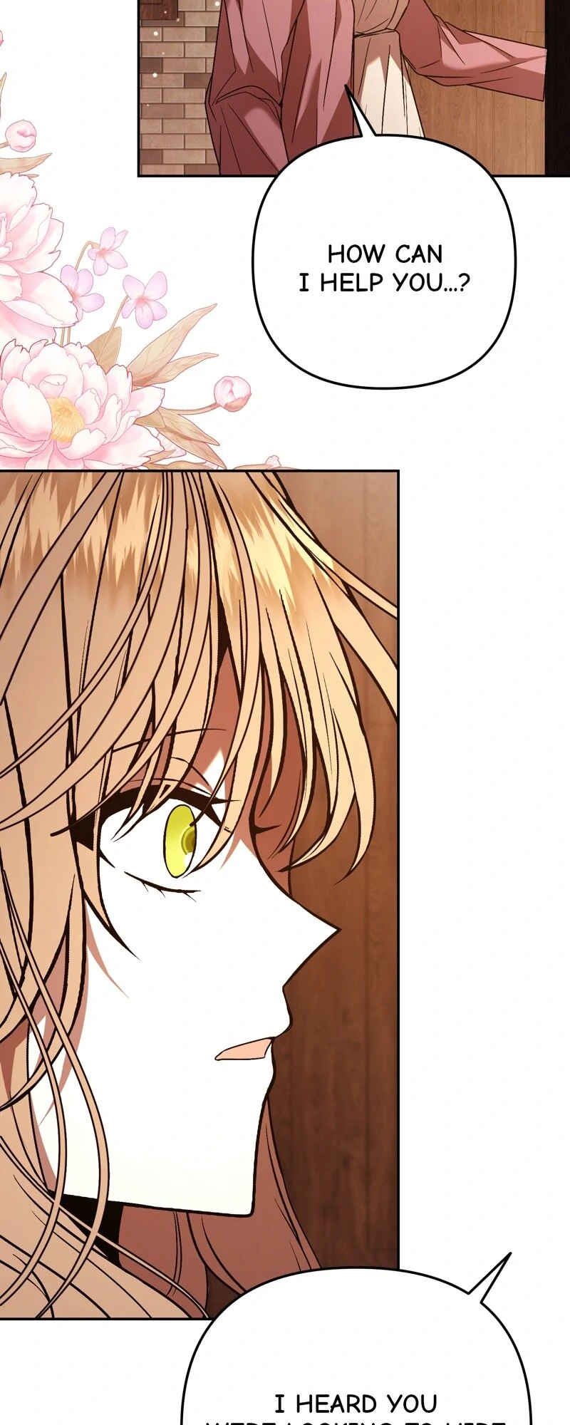 The Handmaiden Dreams at Sunset Chapter 70 - page 47