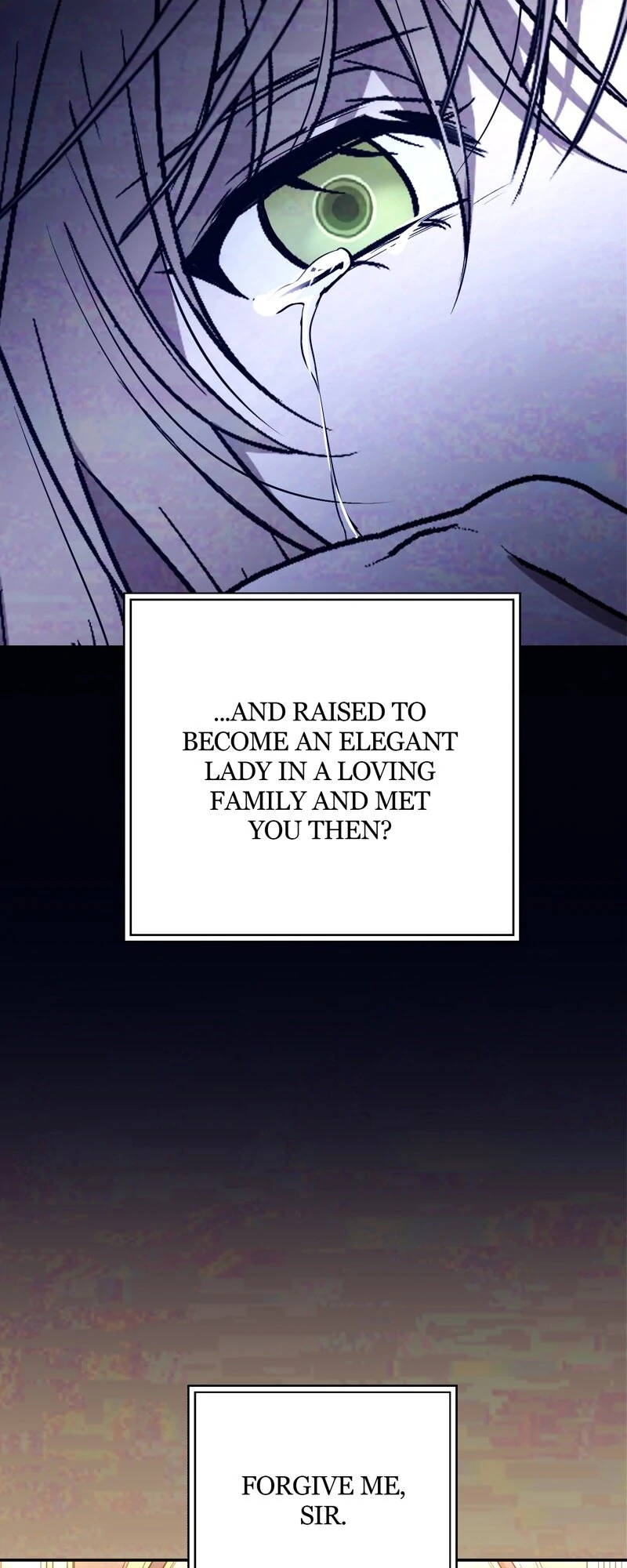 The Handmaiden Dreams at Sunset Chapter 53 - page 42