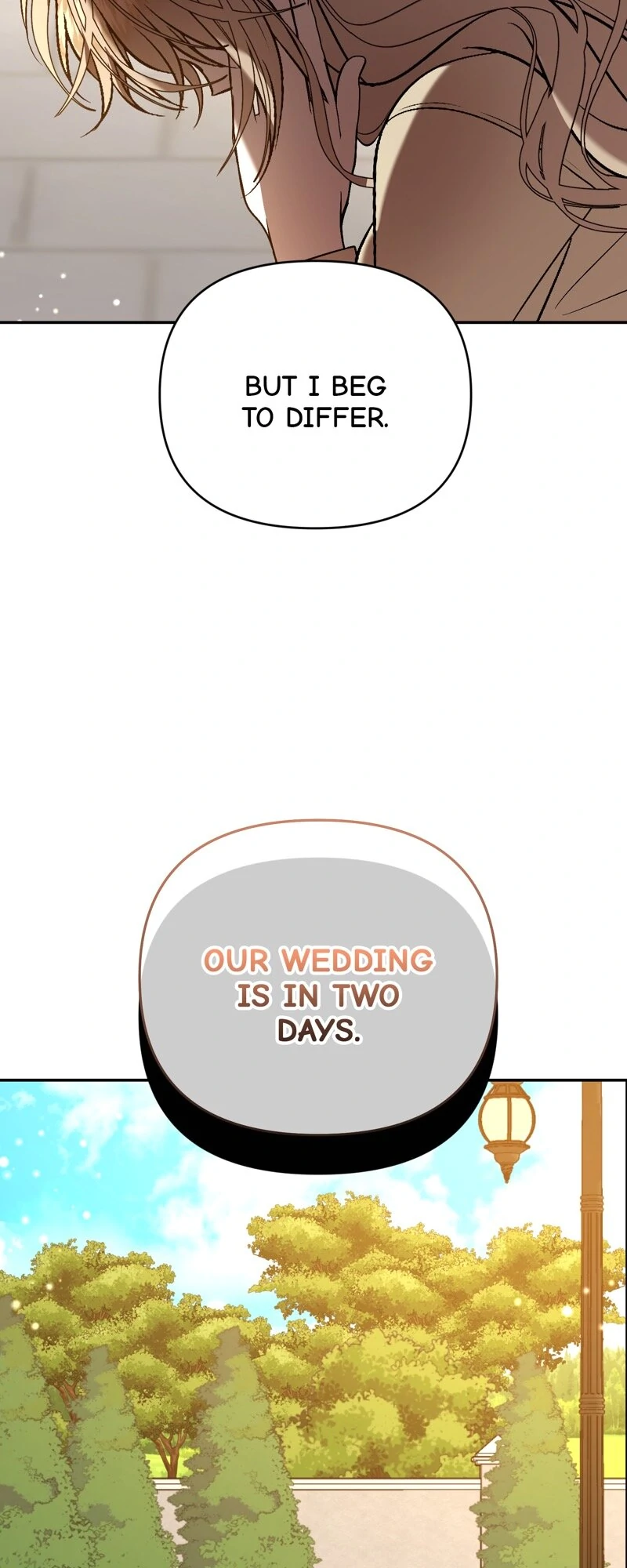 The Handmaiden Dreams at Sunset Chapter 51 - page 42