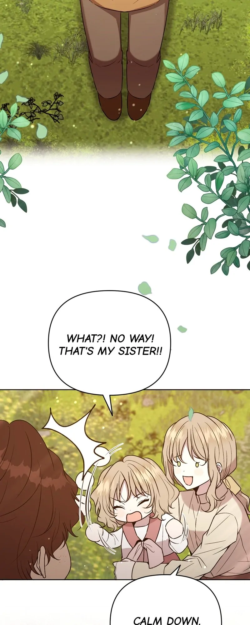 The Handmaiden Dreams at Sunset Chapter 21 - page 2