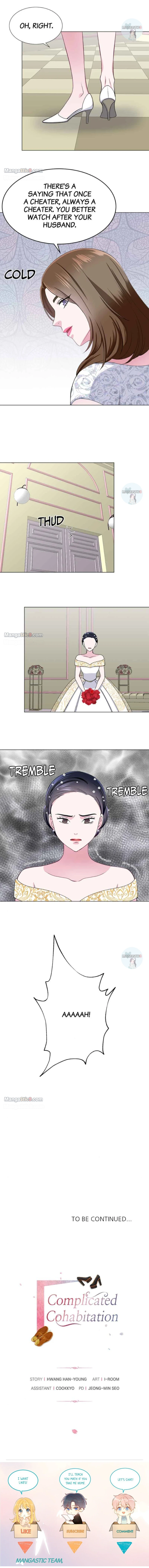 Complicated Cohabitation Chapter 41 - page 9