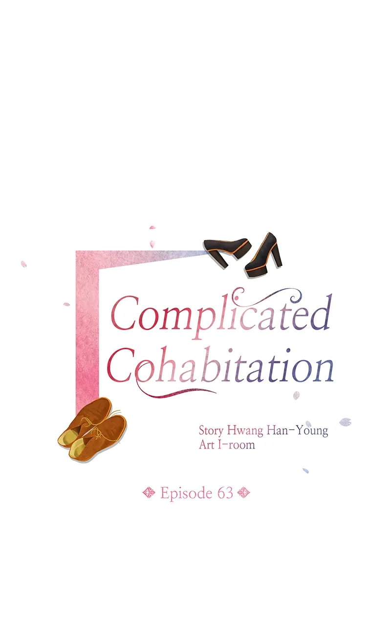 Complicated Cohabitation Chapter 63 - page 17